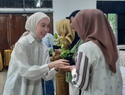 Pemanfaatan Pekarangan, 1.000 Bibit Cabai Dibagikan TP PKK Palangka Raya